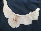 Yeezy gap dove balenciaga hoodie - nuotraukos Nr. 22