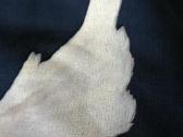 Yeezy gap dove balenciaga hoodie - nuotraukos Nr. 23