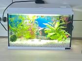20l akvariumas - nuotraukos Nr. 4