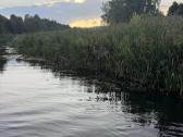 Irklenčių (Sup) nuoma Vilniuje – Vilnelės upėje - nuotraukos Nr. 8