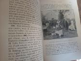 Parduodu knyga,bitė ir avilys,1923m.paris - nuotraukos Nr. 7