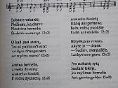 Tautosakos darbai I (VIII) - nuotraukos Nr. 5