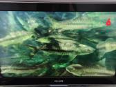 Philips televizorius - nuotraukos Nr. 6