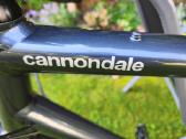 Cannondale gravel GRX XL - nuotraukos Nr. 10