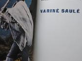 Varinė saulė - nuotraukos Nr. 3