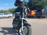 Citycoco electric scooter - nuotraukos Nr. 2