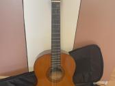 Gitara - nuotraukos Nr. 3
