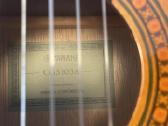 Gitara - nuotraukos Nr. 4