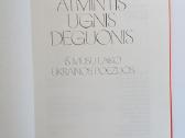 Atmintis, ugnis, deguonis - nuotraukos Nr. 6