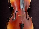 Violončelė 4/4 - nuotraukos Nr. 2