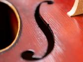 Violončelė 4/4 - nuotraukos Nr. 4