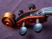 Violončelė 4/4 - nuotraukos Nr. 6