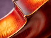 Violončelė 4/4 - nuotraukos Nr. 9