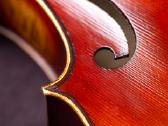 Violončelė 4/4 - nuotraukos Nr. 11