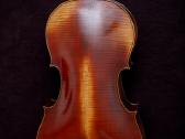 Violončelė 4/4 - nuotraukos Nr. 17