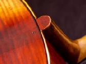 Violončelė 4/4 - nuotraukos Nr. 18
