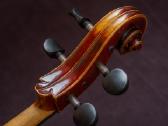 Violončelė 4/4 - nuotraukos Nr. 21