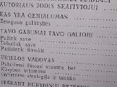 Žmogaus galimybės - nuotraukos Nr. 3