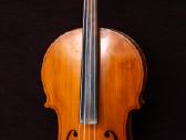 Violončelė 4/4 - nuotraukos Nr. 3