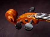 Violončelė 4/4 - nuotraukos Nr. 4