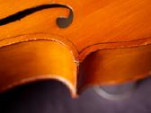 Violončelė 4/4 - nuotraukos Nr. 6