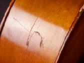 Violončelė 4/4 - nuotraukos Nr. 9
