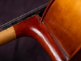 Violončelė 4/4 - nuotraukos Nr. 11