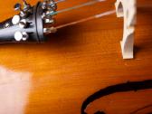 Violončelė 4/4 - nuotraukos Nr. 12