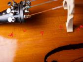 Violončelė 4/4 - nuotraukos Nr. 13