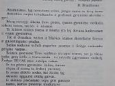 Lietuva prie balto stalo. Vasara - nuotraukos Nr. 4