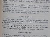 Lietuva prie balto stalo. Vasara - nuotraukos Nr. 7