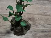 Akvariumo iranga - nuotraukos Nr. 7