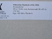 Edmundas Žiauberis „Monio ežeras“ 1978m. - nuotraukos Nr. 2