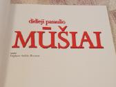 Didieji pasaulio mūšiai - nuotraukos Nr. 2