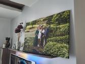 Foto Drobių gamyba ir pardavimas - nuotraukos Nr. 2