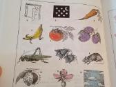 Lithuanian Pictorial Dictionary - nuotraukos Nr. 6