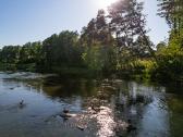 Sklypas prie Druskininkų su Nemuno pakrante - nuotraukos Nr. 9