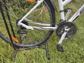Scott lady sportster hibridinis dviratis - nuotraukos Nr. 5