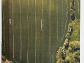 Parduodamas 5,13 Ha Žemės Sklypas Prie Šešupės - nuotraukos Nr. 8