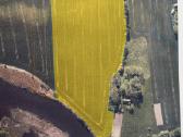 Parduodamas 5,13 Ha Žemės Sklypas Prie Šešupės - nuotraukos Nr. 9