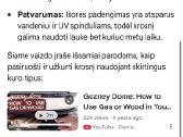 Picų krosnis Gozney Dome (Nauja) - nuotraukos Nr. 3