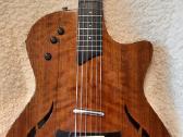 Taylor T5 Ovangkol 2009 Limited Edition Usa - nuotraukos Nr. 3