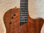 Taylor T5 Ovangkol 2009 Limited Edition Usa - nuotraukos Nr. 4
