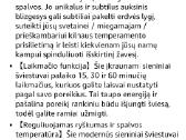 LED pakraunami sieniniai šviestuvai ,4 vnt - nuotraukos Nr. 6