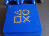 Maksimalus Ps4 Days of Play Limited Edition - nuotraukos Nr. 6