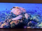 Samsung Qe65qn800a Neo-qled 8k rezoliucija 120hz - nuotraukos Nr. 3
