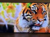 Samsung Qe65qn800a Neo-qled 8k rezoliucija 120hz - nuotraukos Nr. 8