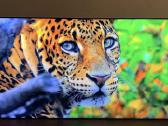 Samsung Qe65qn800a Neo-qled 8k rezoliucija 120hz - nuotraukos Nr. 9