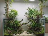 Parduodamas naudotas 450 l akvariumas – 150-50-60 - nuotraukos Nr. 4