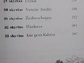 Kalėdozauras - nuotraukos Nr. 5